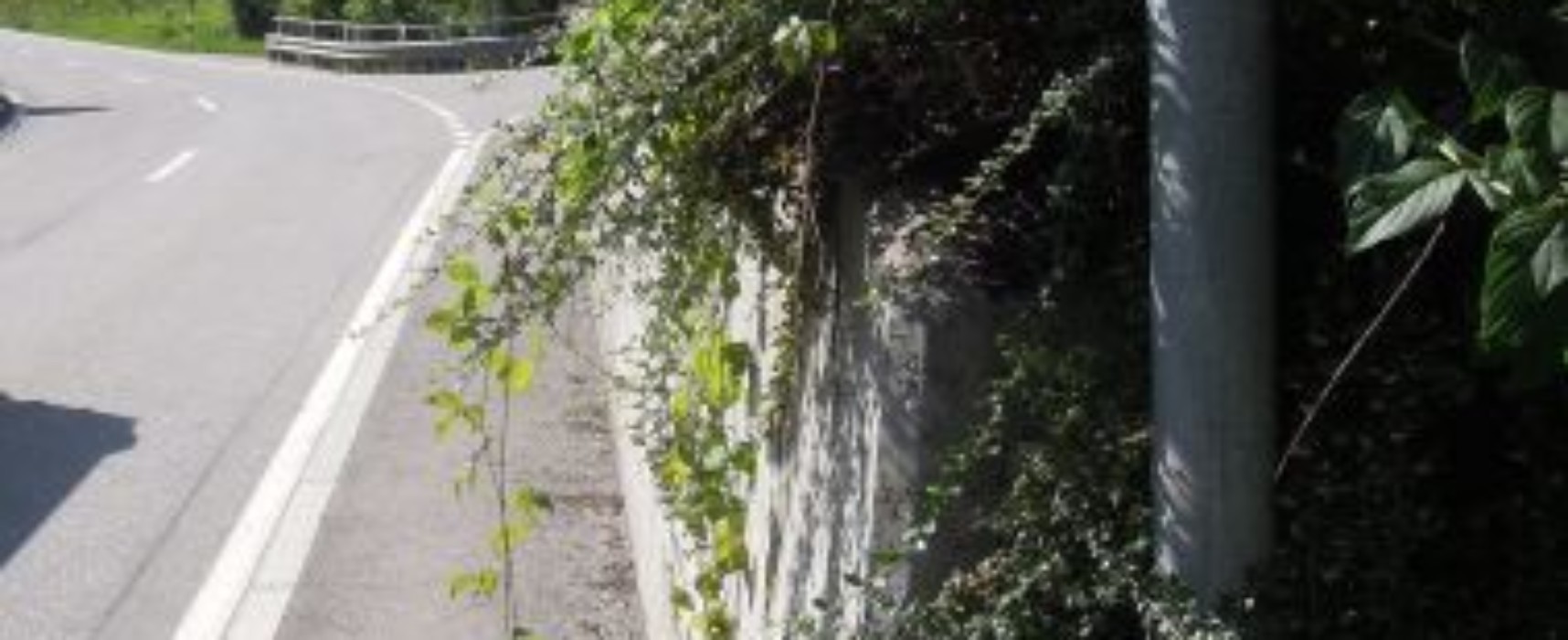 Thusis: Zurückschneiden von Bäumen und Sträuchern an Straßen