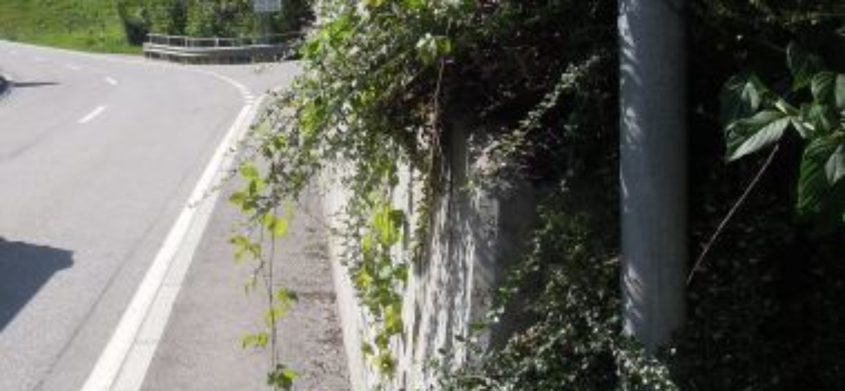 Thusis: Zurückschneiden von Bäumen und Sträuchern an Straßen