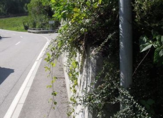 Thusis: Zurückschneiden von Bäumen und Sträuchern an Straßen