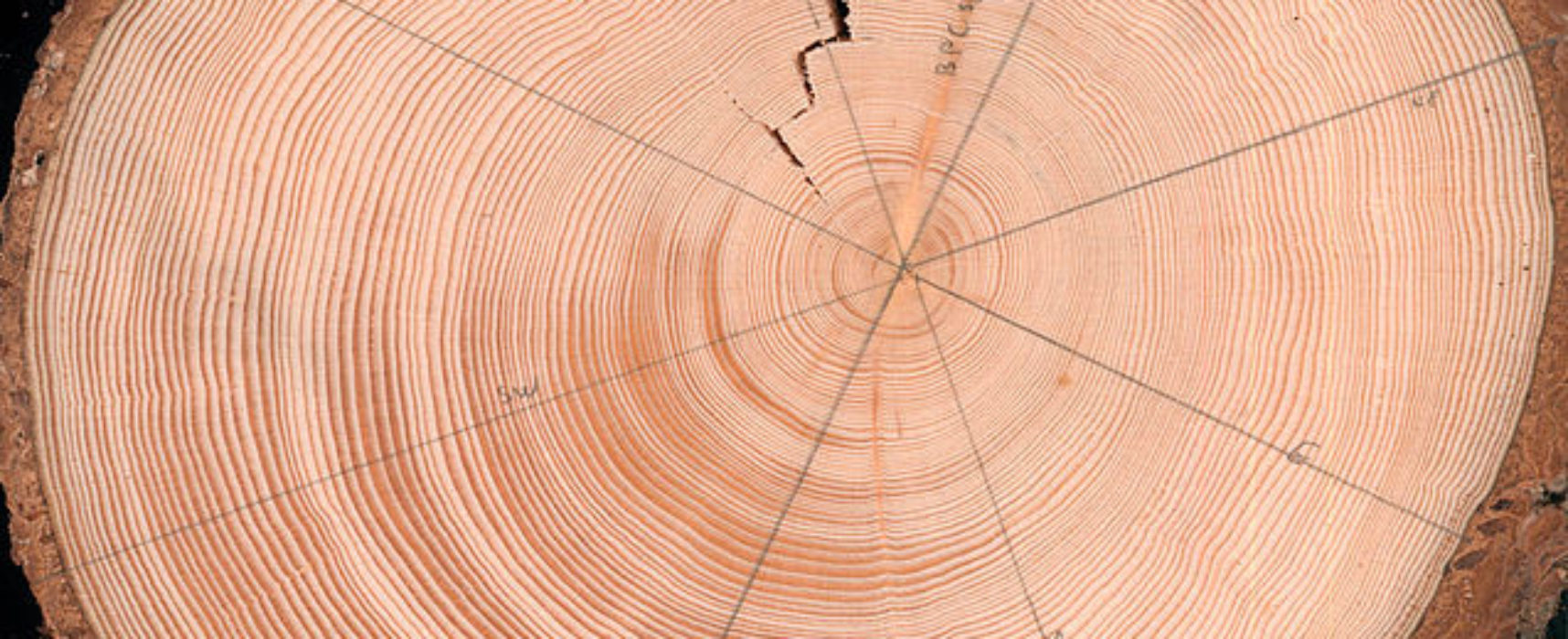 Cazis bekommt eine neue Firma: Schießer Holzträume