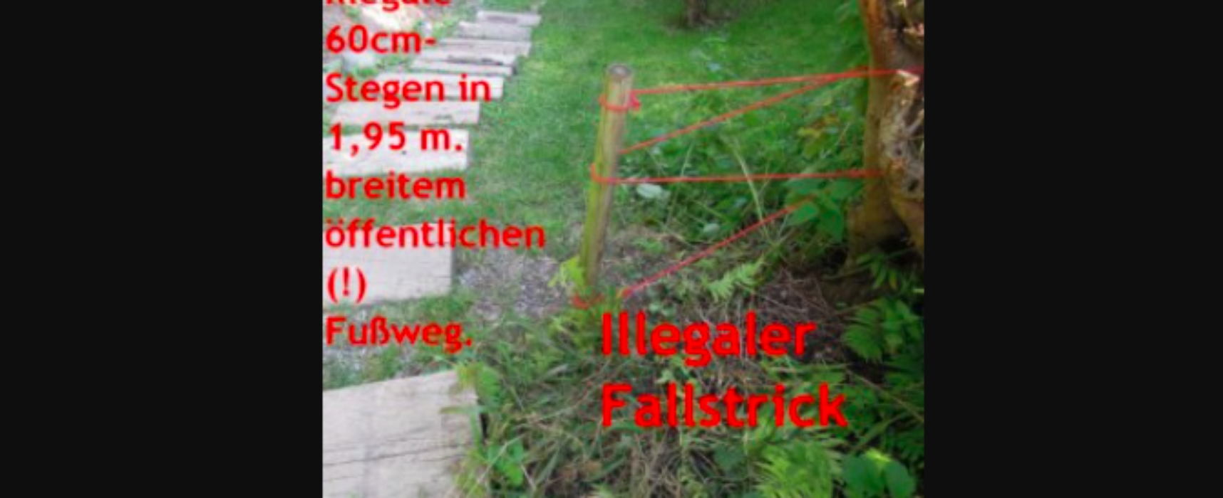 Stellen Sie sich einmal vor…