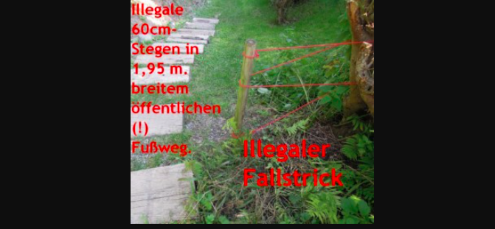 Stellen Sie sich einmal vor…