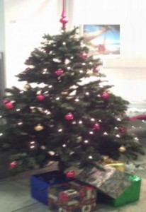 Pratval: Weihnachtsbäume mit der Familie schneiden anstatt von Tannenbaum von der Stange (Foto: Schlagwort AG)