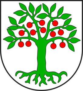 Gemeinde Domleschg gibt Gemeindeversammlungsprotokoll und weiteres bekannt.. (Symbolbild)