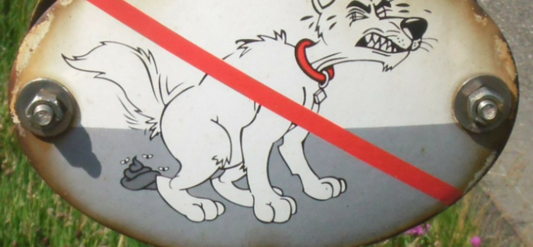 Sils: Hundekot gibt Anlaß für Reklamationen