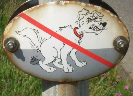 Sils: Hundekot gibt Anlaß für Reklamationen
