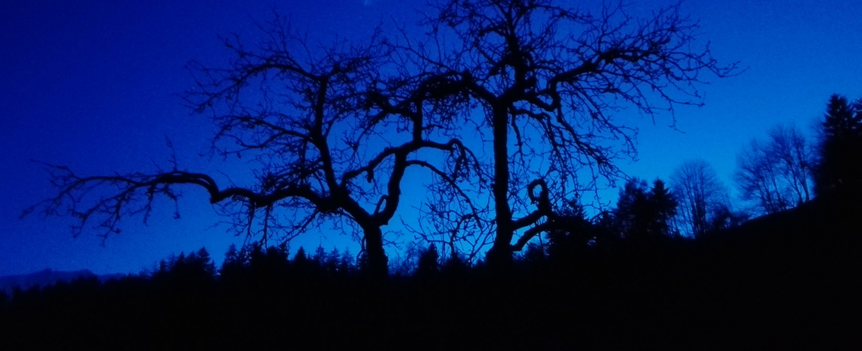 Abenddämmerung im Domleschg