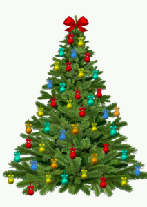 In zahlreichen Gemeinden des Domleschg kann man Christbäume kaufen