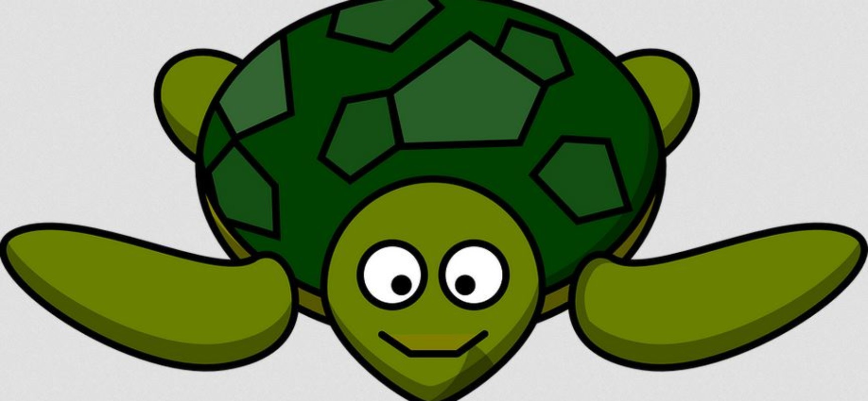 Cazis: Schildkröte gefunden