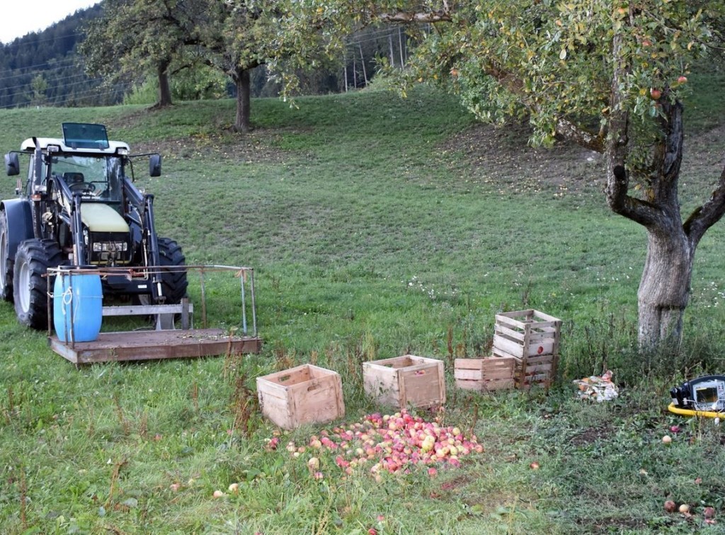 Sturz bei Apfelernte in Scharans. Die Frau verlor auf der Plattform das Gleichgewicht. (Polizeifotos: Kapo)