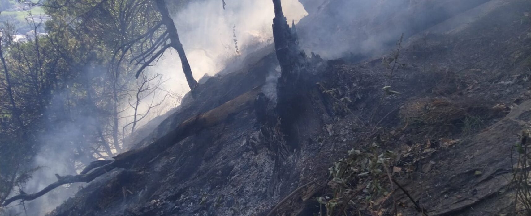 Cazis: Flurbrand in unwegsamen Gelände