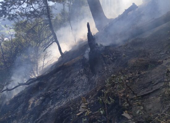 Cazis: Flurbrand in unwegsamen Gelände