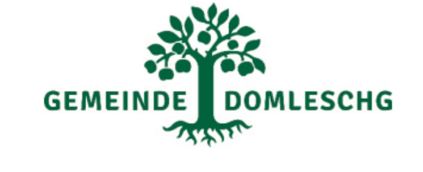 Gemeinde-Versammlung Gmd. Domleschg