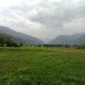 Biber in Thusis gesichtet