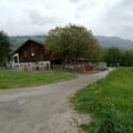Biber in Thusis gesichtet