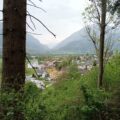 Biber in Thusis gesichtet
