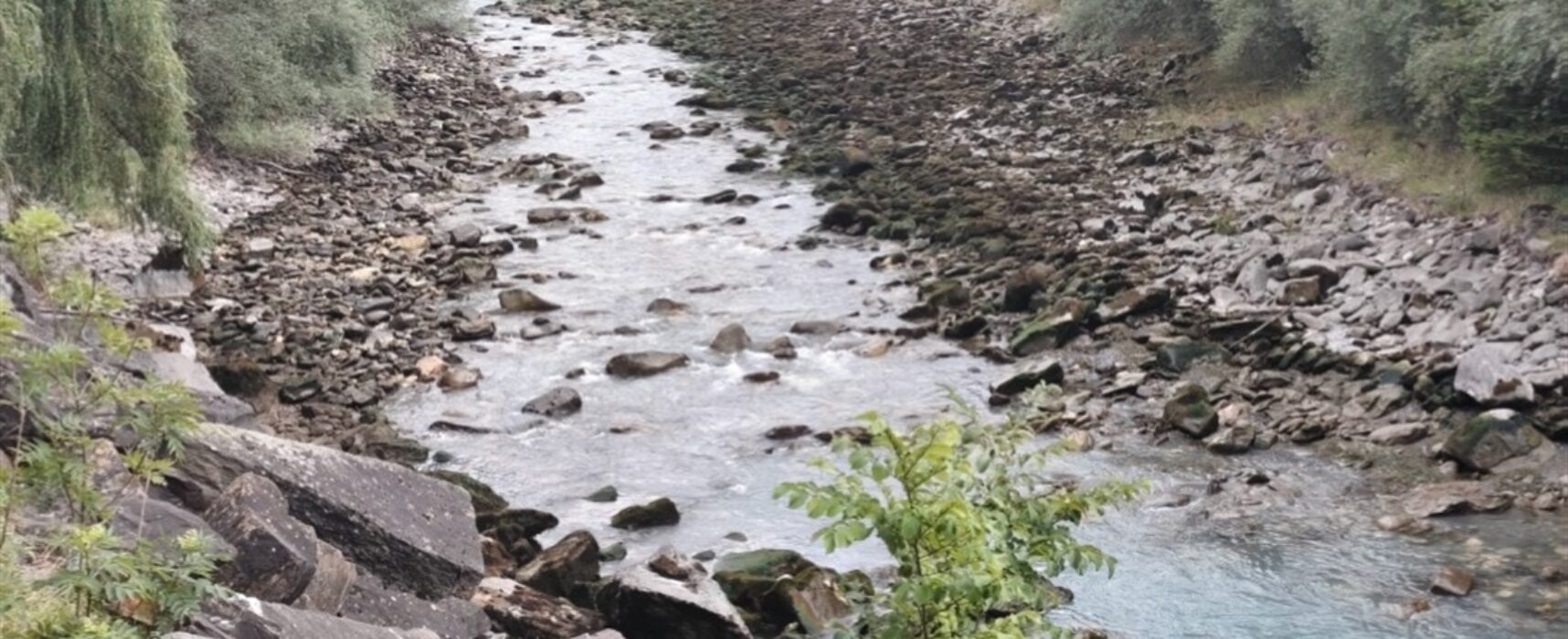 Fische in Sils im Domleschg verendet