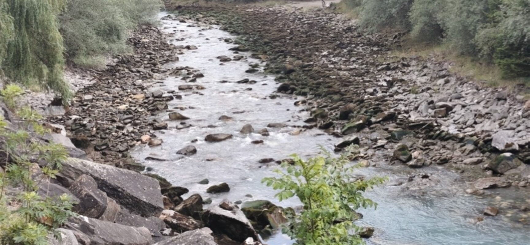 Fische in Sils im Domleschg verendet